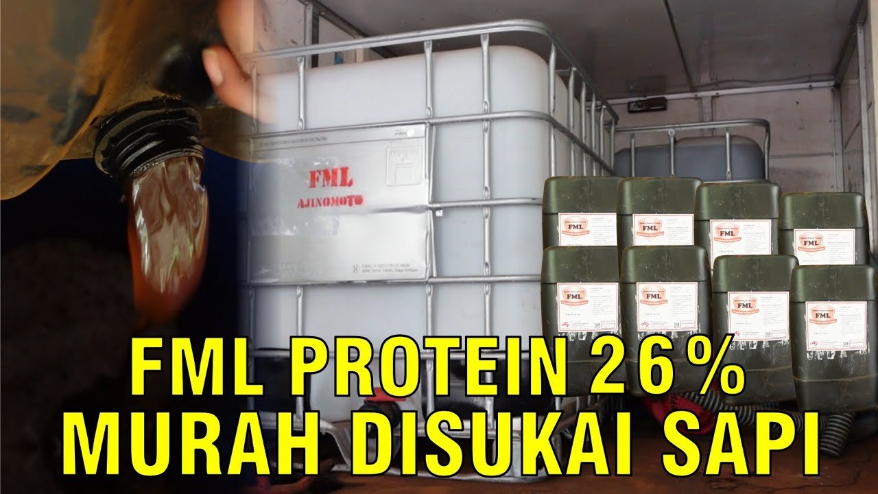 
                                 Bahan-Protein-Pakan-Ternak-FML